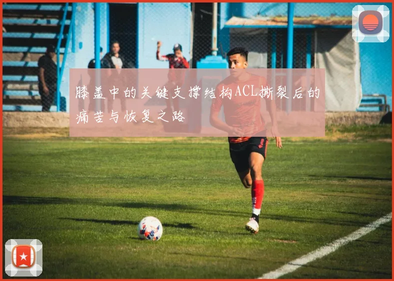 膝盖中的关键支撑结构ACL撕裂后的痛苦与恢复之路