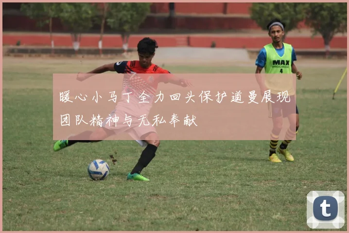 暖心小马丁全力回头保护道曼展现团队精神与无私奉献
