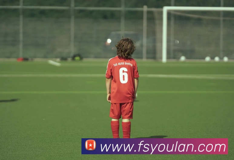 星空官网入口登录平台生态图